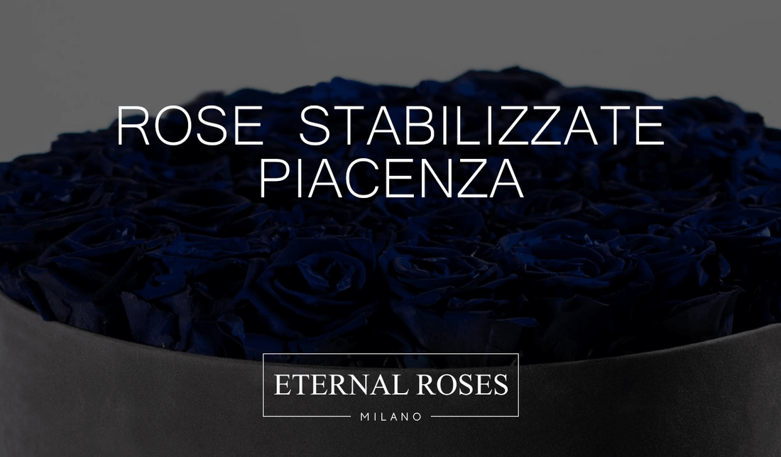 Rose Eterne Stabilizzate a Piacenza