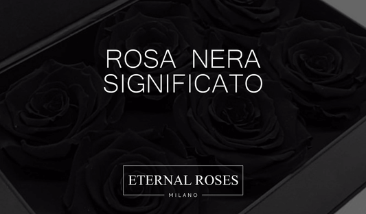 Rosa Nera: significato e origine