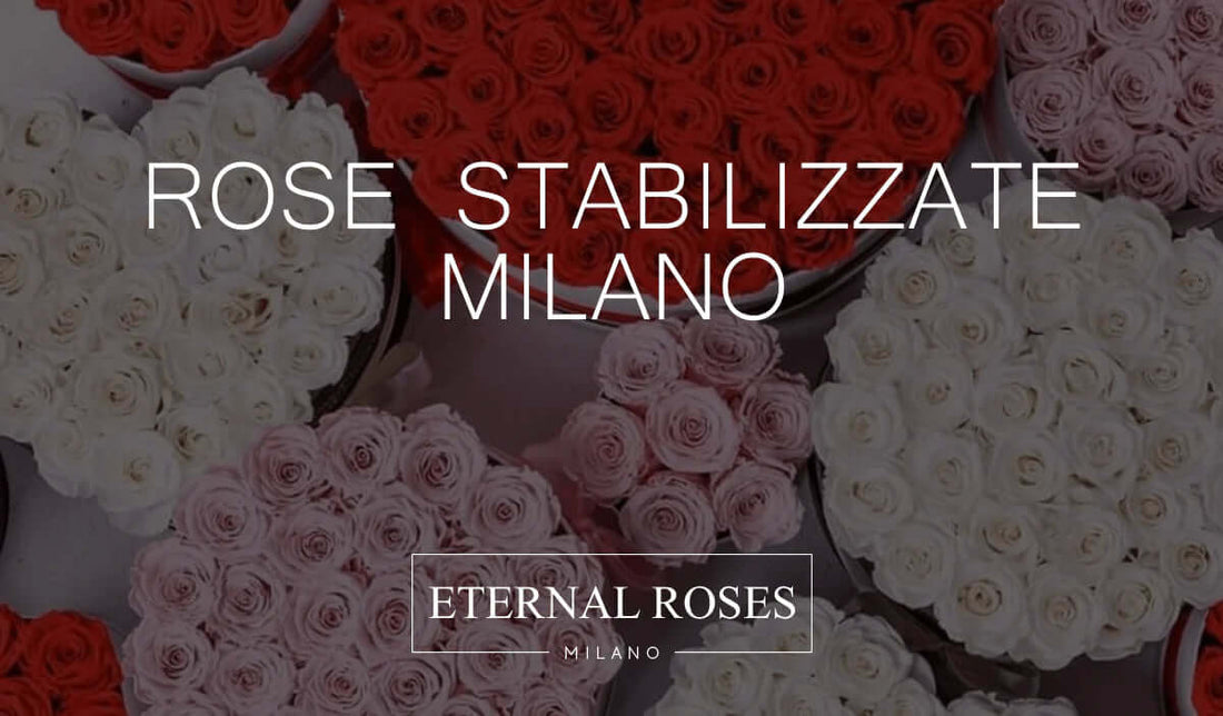 Rose Stabilizzate a Milano