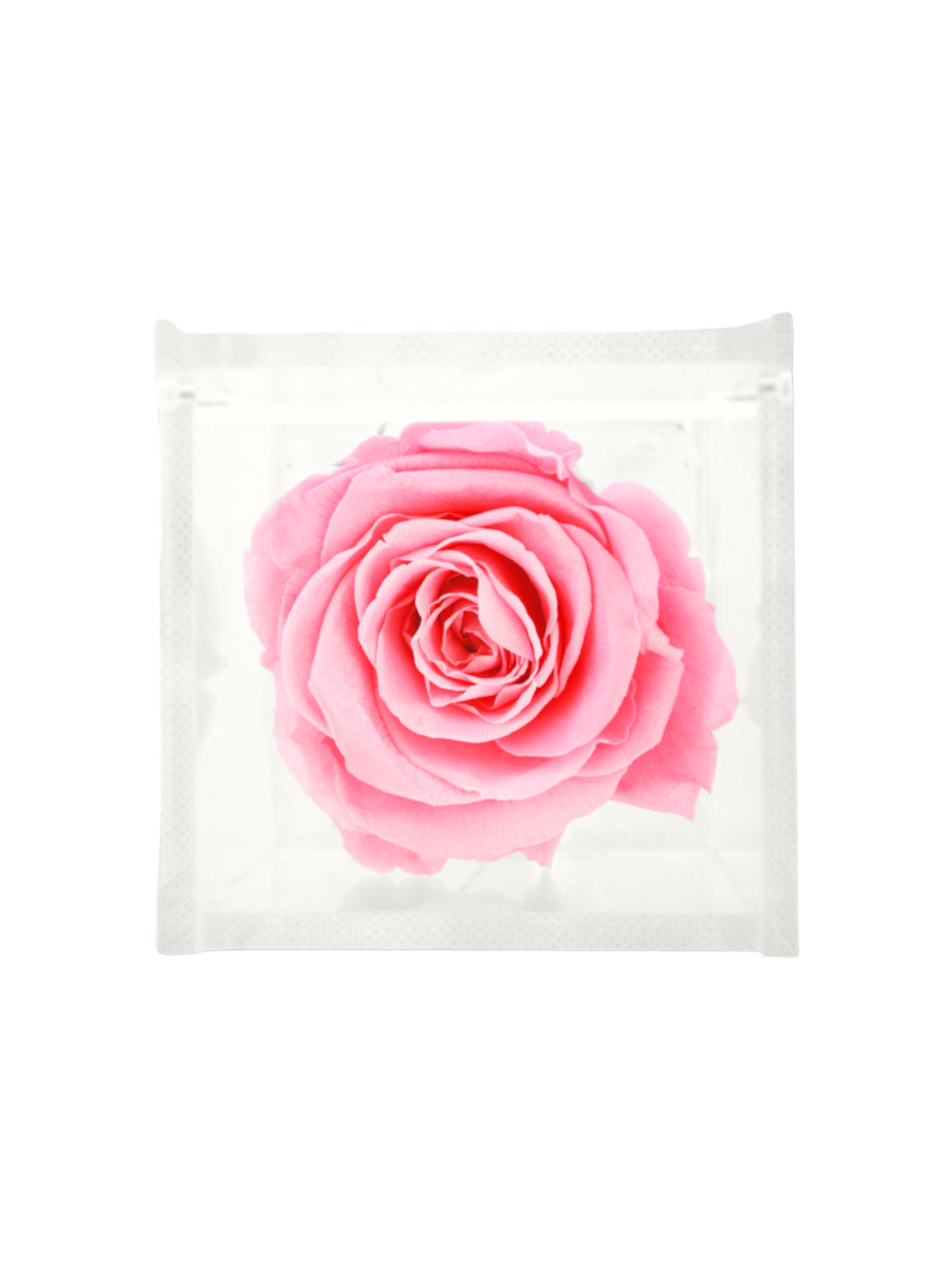 Rosa Eterna Blanca Preservada XL - Cubo Acrílico L